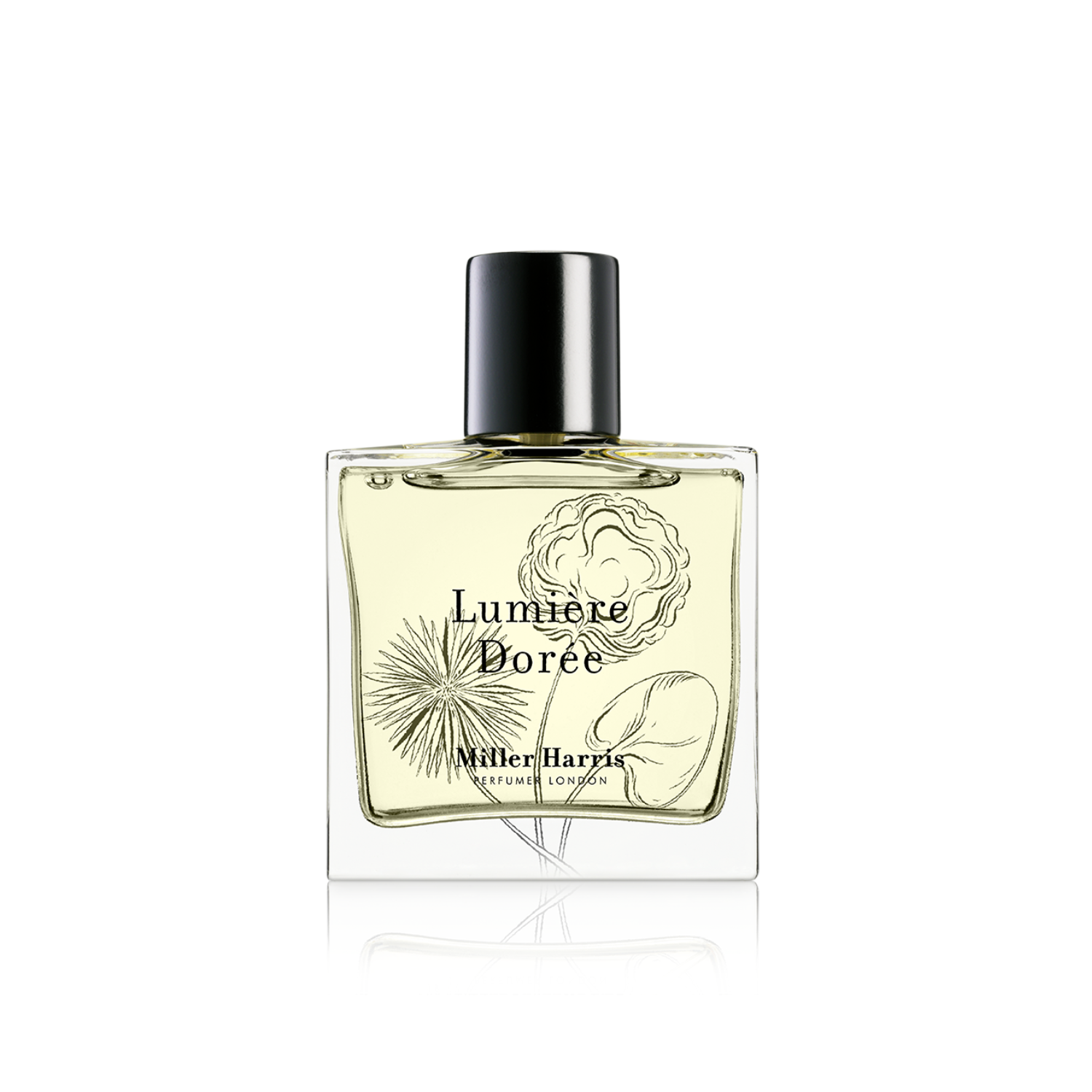 Lumière Dorée EDP 50ml