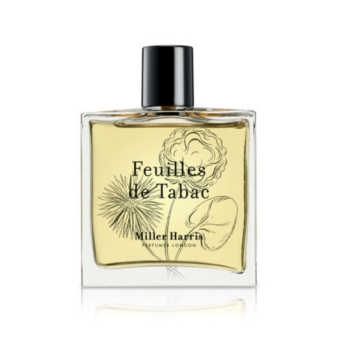 Feuilles de Tabac EDP 100ml